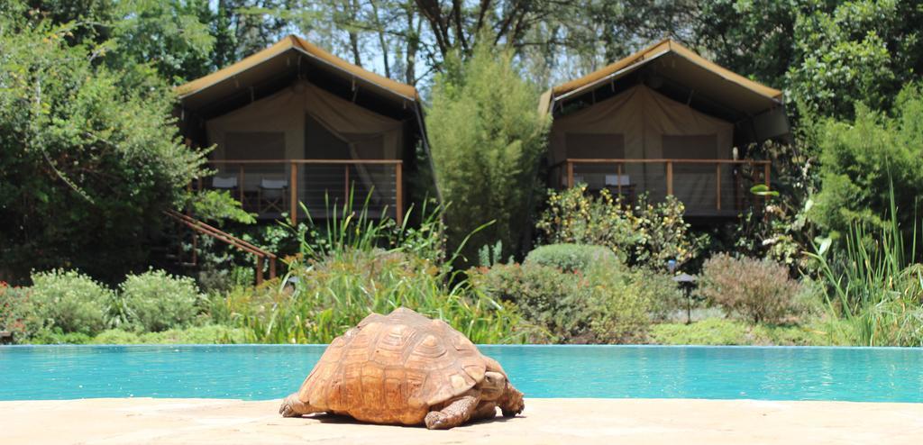 Wildebeest Eco Camp Hotel Nairobi Exterior photo